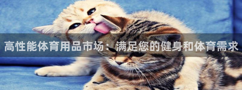 欧陆娱乐招商主管：高性能体育用品市场：满足您的健身和