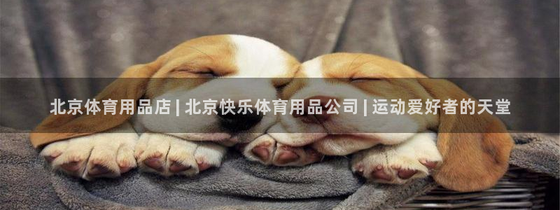 欧陆娱乐总代理电话：北京体育用品店 | 北京快乐体育