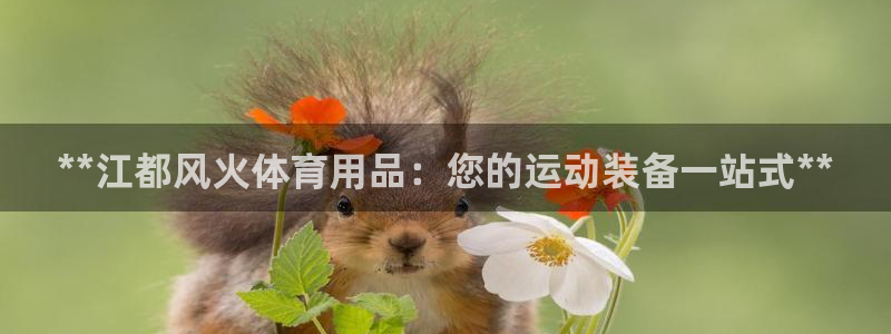 欧陆娱乐注册链接怎么弄的：**江都风火体育用品：您的