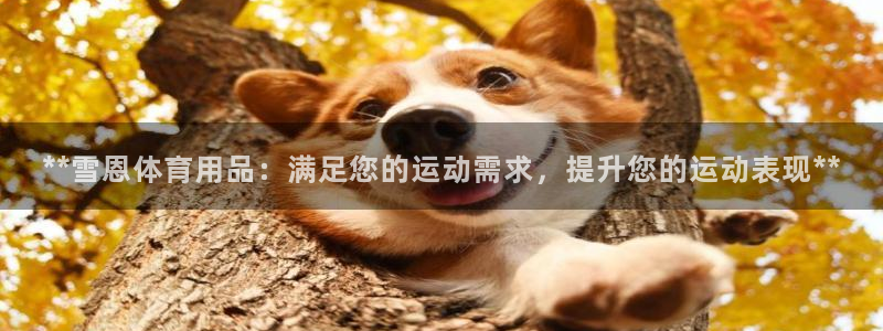 欧陆娱乐官网入口：**雪恩体育用品：满足您的运动需求
