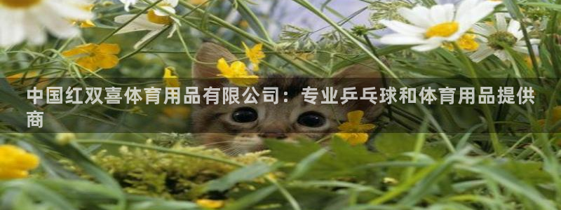 欧陆娱乐平台优势：中国红双喜体育用品有限公司：专业乒
