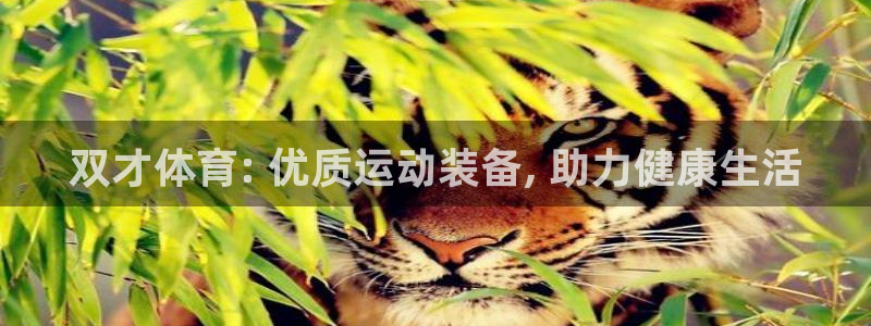 欧陆娱乐平台登陆地址在哪里：双才体育: 优质运动装备