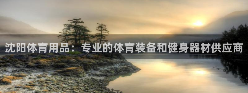 欧陆商城：沈阳体育用品：专业的体育装备和健身器材供应