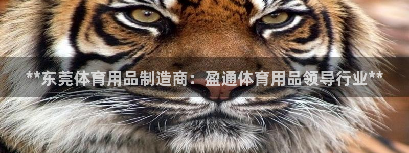 重庆欧陆娱乐有限公司怎么样：**东莞体育用品制造商：