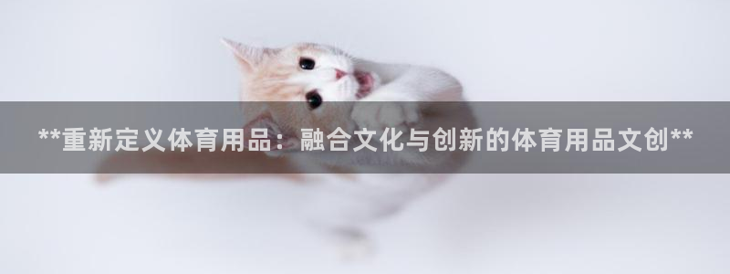 欧陆娱乐能提现嘛?：**重新定义体育用品：融合文化与