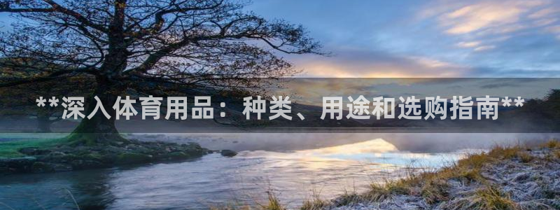 欧陆娱乐平台咋样啊：**深入体育用品：种类、用途和选