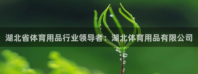 欧陆娱乐会员有什么用：湖北省体育用品行业领导者：湖北