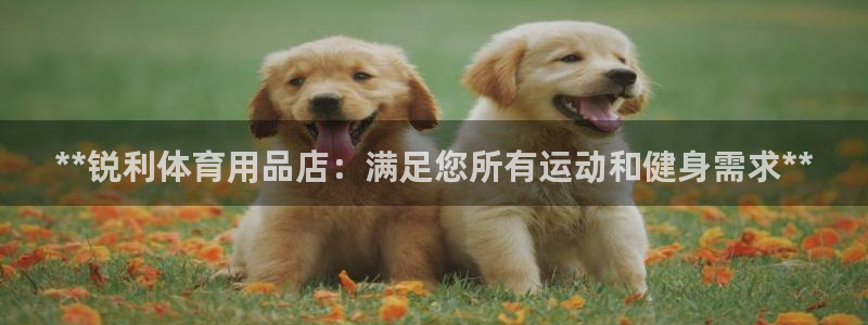 欧陆娱乐简介：**锐利体育用品店：满足您所有运动和健