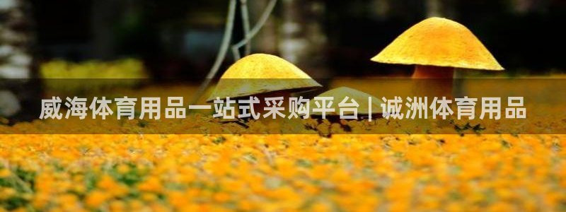 欧陆娱乐测试官网：威海体育用品一站式采购平台 | 诚