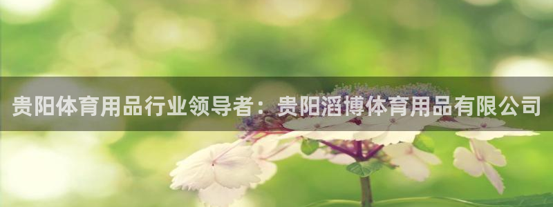 欧陆娱乐登录测速怎么关闭：贵阳体育用品行业领导者：贵