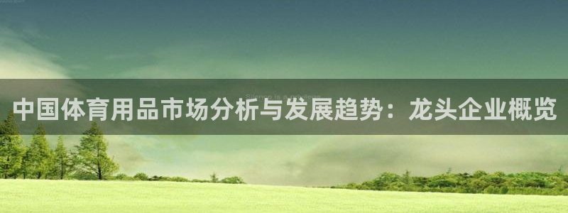 欧陆娱乐注册代理：中国体育用品市场分析与发展趋势：龙