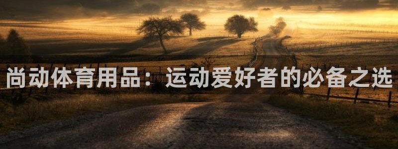 欧陆娱乐平台登录不上去怎么回事：尚动体育用品：运动爱