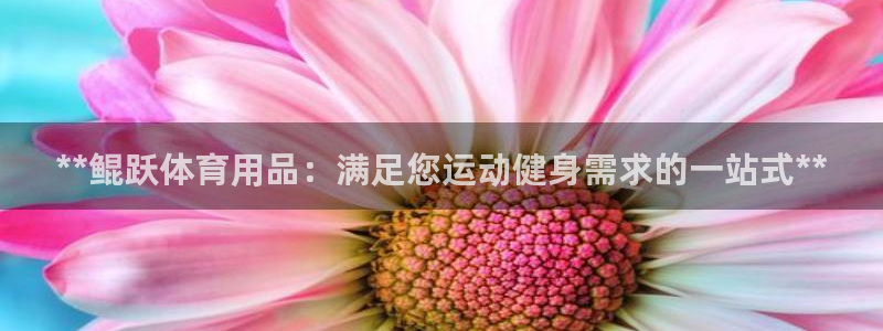欧陆娱乐注册代理多少钱啊：**鲲跃体育用品：满足您运