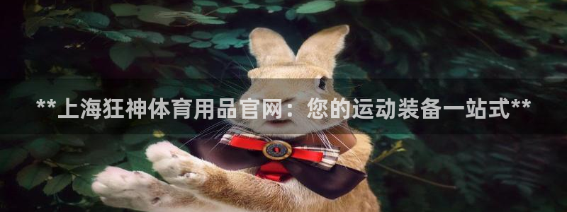 欧陆娱乐app攻略：**上海狂神体育用品官网：您的运