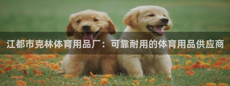 欧陆娱乐会员有什么用：江都市克林体育用品厂：可靠耐用