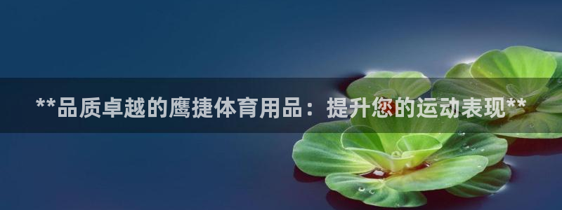 欧陆娱乐平台登录：**品质卓越的鹰捷体育用品：提升您