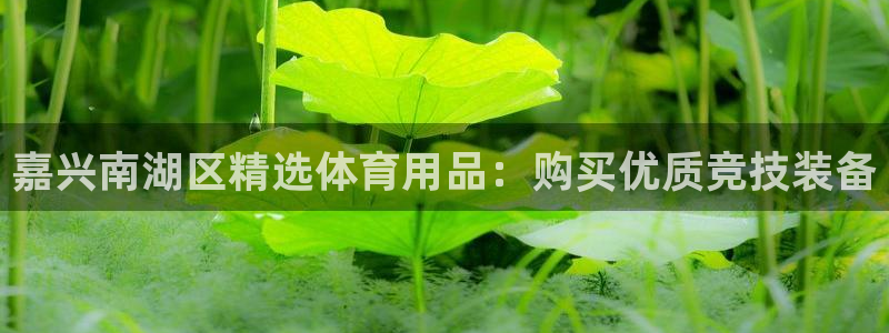 欧陆娱乐计划app官方正版安装下载苹果