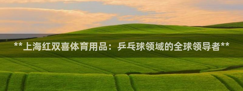 欧陆娱乐app攻略：**上海红双喜体育用品：乒乓球领