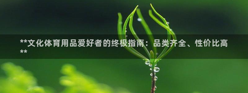 欧陆注册码：**文化体育用品爱好者的终极指南：品类齐
