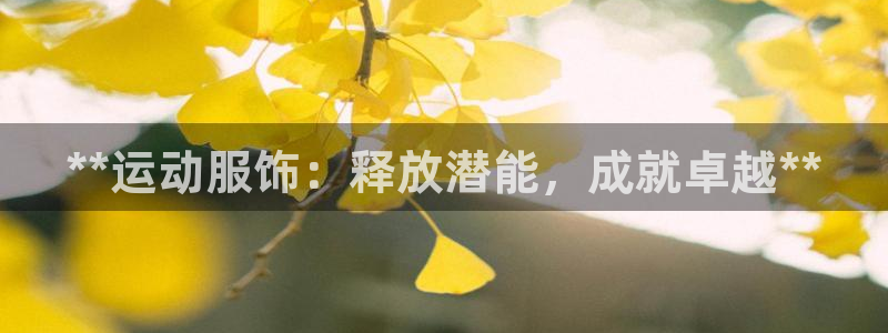 欧陆娱乐登录注册平台有哪些：**运动服饰：释放潜能，