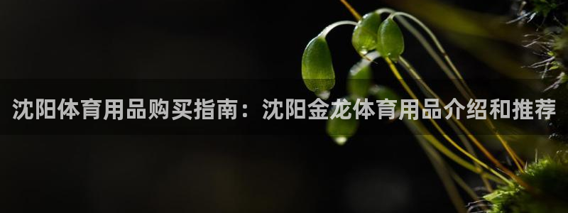 欧陆娱乐公司产品介绍：沈阳体育用品购买指南：沈阳金龙