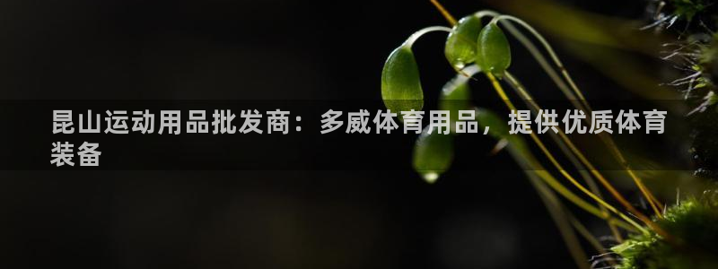 欧陆娱乐官网注册中心下载：昆山运动用品批发商：多威体