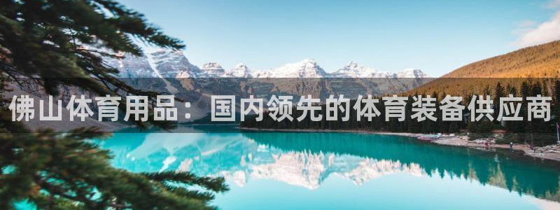 欧陆娱乐登陆平台官网：佛山体育用品：国内领先的体育装