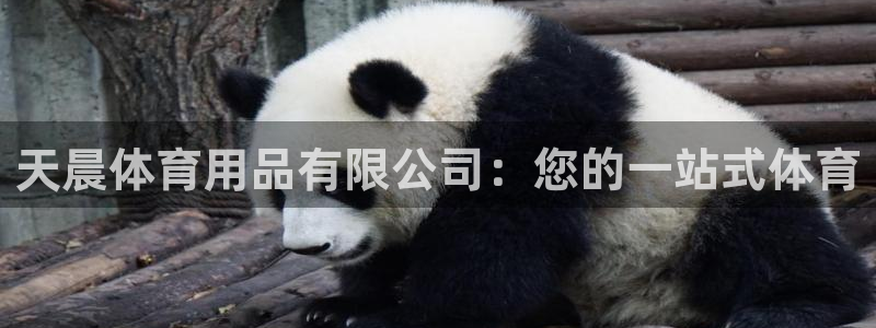 欧陆娱乐讲7O777：天晨体育用品有限公司：您的一站