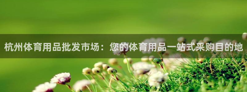 欧陆娱乐安全?：杭州体育用品批发市场：您的体育用品一