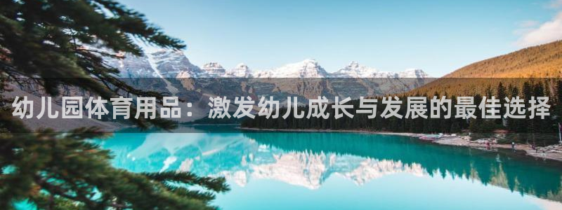 欧陆娱乐稳中：幼儿园体育用品：激发幼儿成长与发展的最