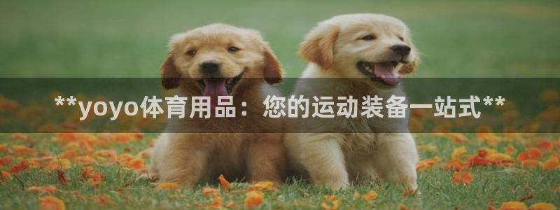 欧陆娱乐脚本怎么下载：**yoyo体育用品：您的运动