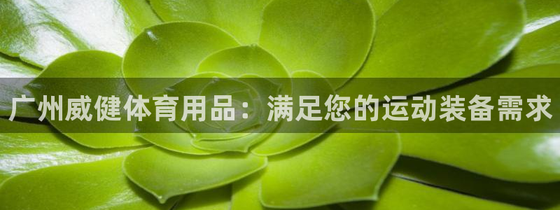 欧陆是什么平台：广州威健体育用品：满足您的运动装备需
