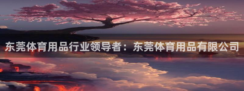 欧陆娱乐有限公司怎么样：东莞体育用品行业领导者：东莞