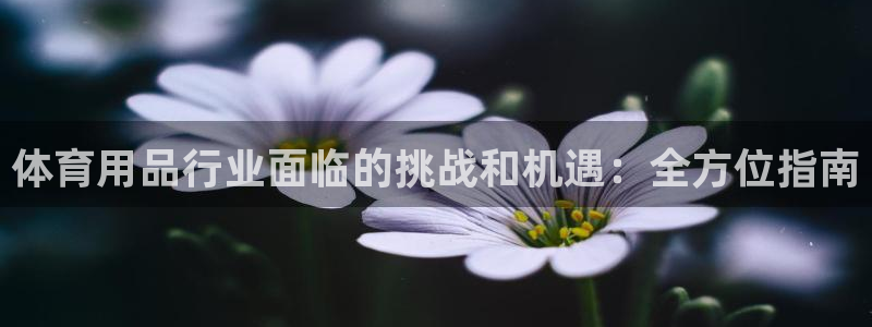 欧陆娱乐简介：体育用品行业面临的挑战和机遇：全方位指