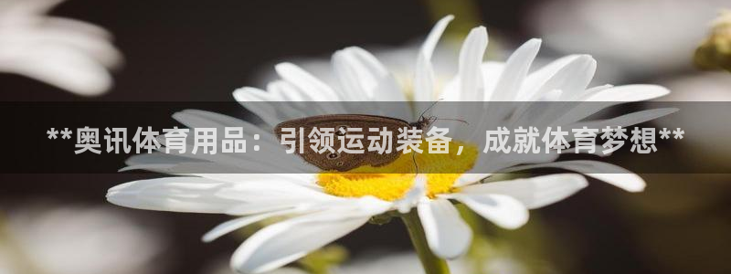 欧陆娱乐总代理：**奥讯体育用品：引领运动装备，成就