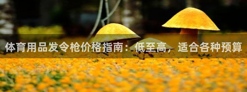 欧陆娱乐能提现嘛?：体育用品发令枪价格指南：低至高，