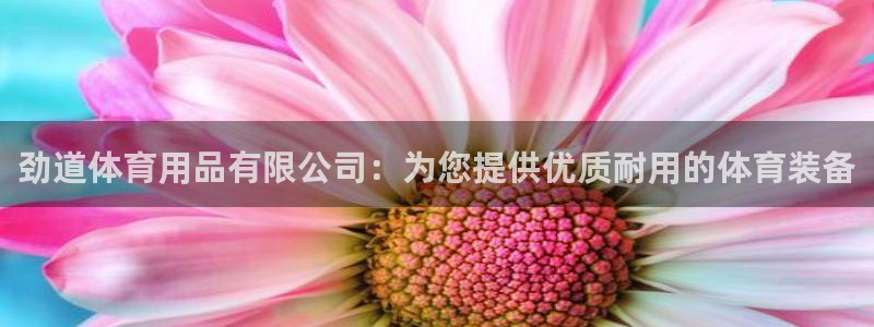 欧陆娱乐脚本：劲道体育用品有限公司：为您提供优质耐用
