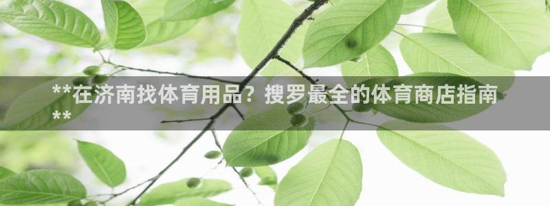 欧陆娱乐官网下载安装最新版：**在济南找体育用品？搜