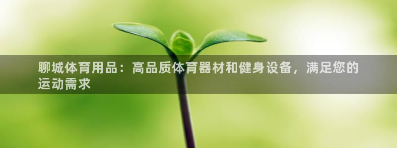 欧陆娱乐出款：聊城体育用品：高品质体育器材和健身设备
