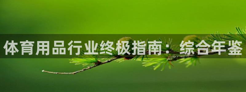 欧陆娱乐是正规平台吗安全吗可靠吗可信吗：体育用品行业终极指南