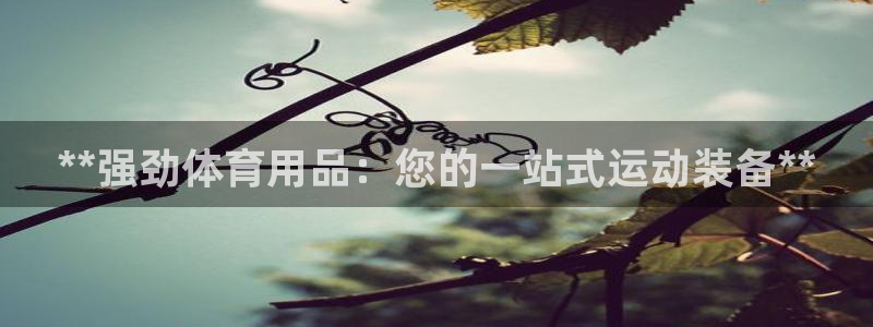 欧陆娱乐平台登录不上：**强劲体育用品：您的一站式运动装备*