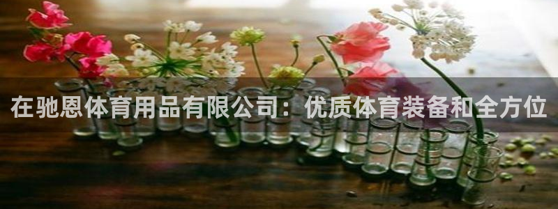 欧陆娱乐不让提现吗：在驰恩体育用品有限公司：优质体育