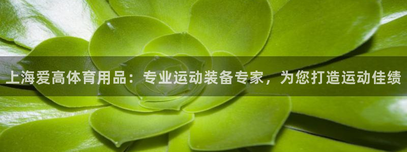 欧陆娱乐出款了吗：上海爱高体育用品：专业运动装备专家
