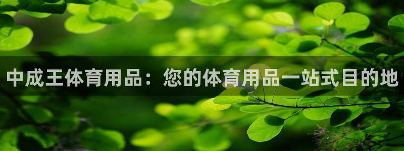 欧陆娱乐平台登陆地址：中成王体育用品：您的体育用品一
