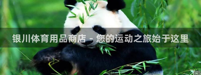 欧陆娱乐平台登陆地址是什么意思：银川体育用品商店 -