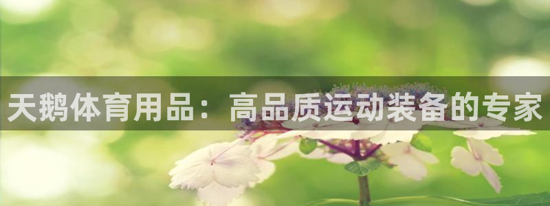 欧陆娱乐突然登录不了了：天鹅体育用品：高品质运动装备