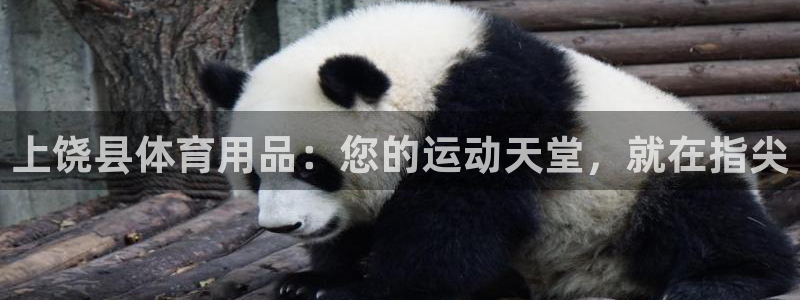 欧陆娱乐注册链接怎么弄出来：上饶县体育用品：您的运动