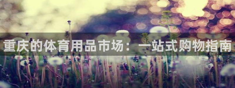 欧陆娱乐是干什么的：重庆的体育用品市场：一站式购物指
