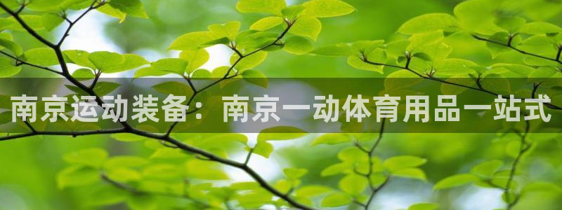欧陆娱乐能赚钱吗：南京运动装备：南京一动体育用品一站