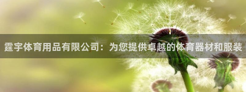 欧陆娱乐公司产品介绍怎么写：霆宇体育用品有限公司：为
